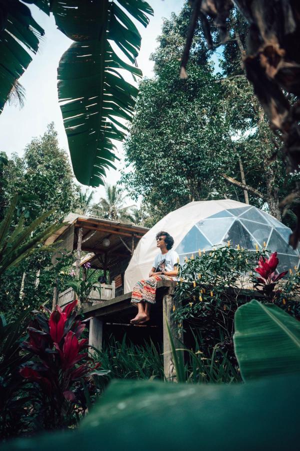 Bali Jungle Camping By Amerta Experience Selemadeg Extérieur photo