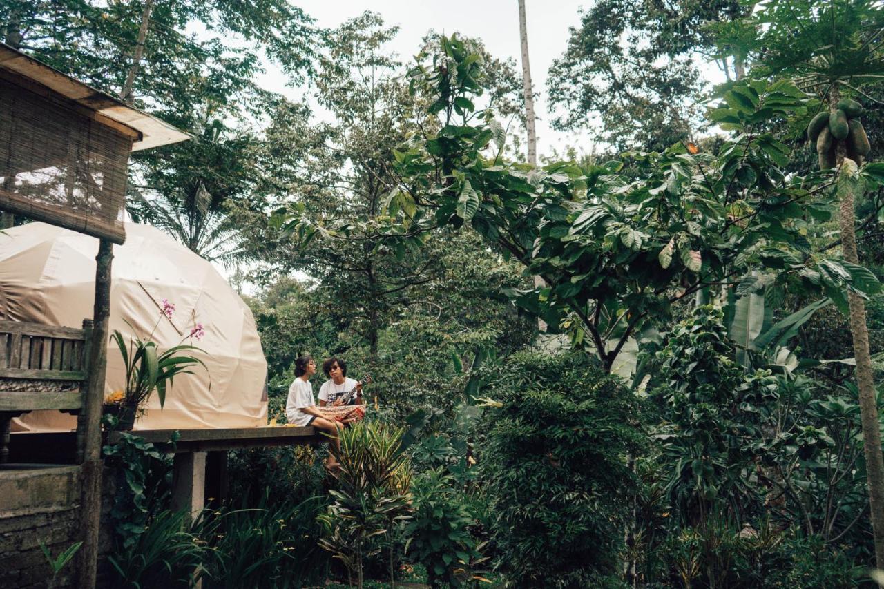 Bali Jungle Camping By Amerta Experience Selemadeg Extérieur photo