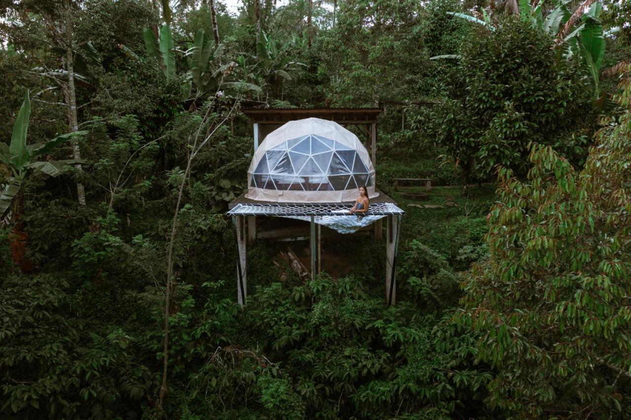 Bali Jungle Camping By Amerta Experience Selemadeg Extérieur photo