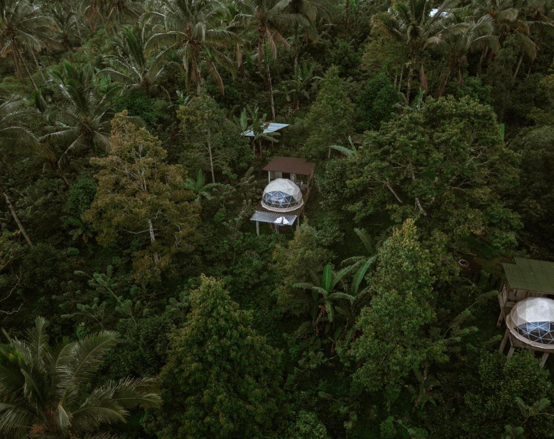Bali Jungle Camping By Amerta Experience Selemadeg Extérieur photo