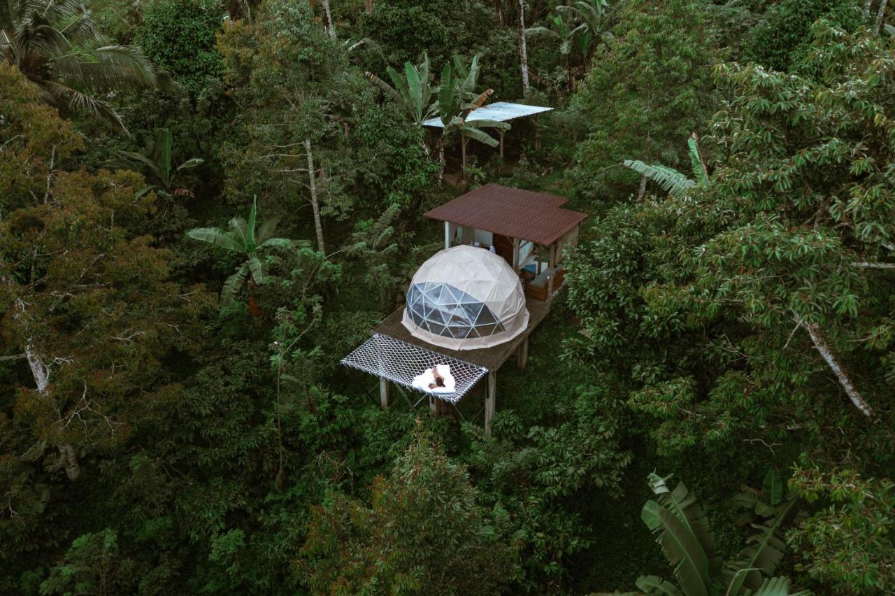 Bali Jungle Camping By Amerta Experience Selemadeg Extérieur photo