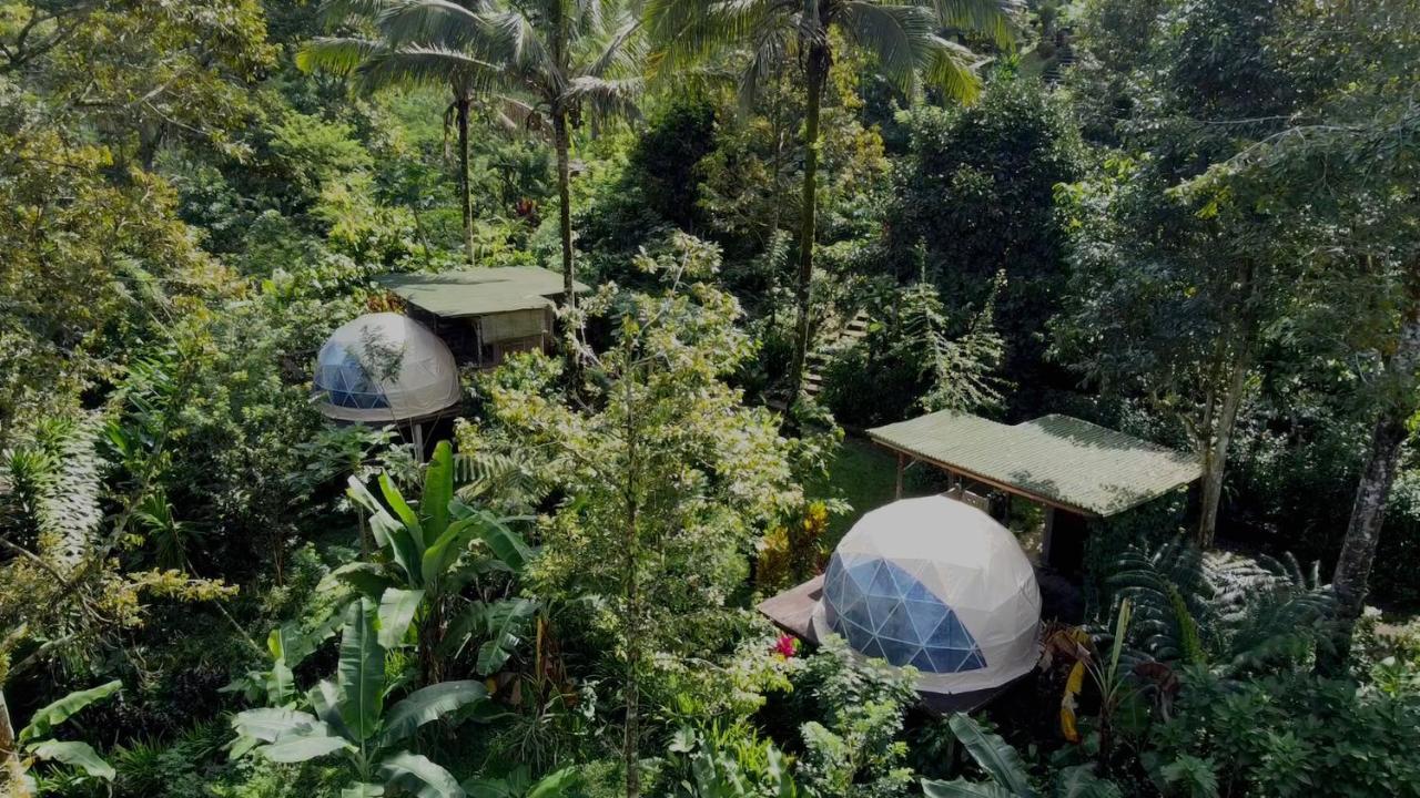 Bali Jungle Camping By Amerta Experience Selemadeg Extérieur photo