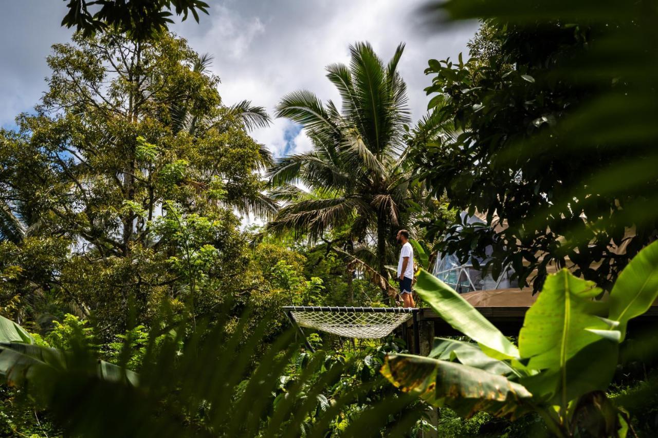 Bali Jungle Camping By Amerta Experience Selemadeg Extérieur photo