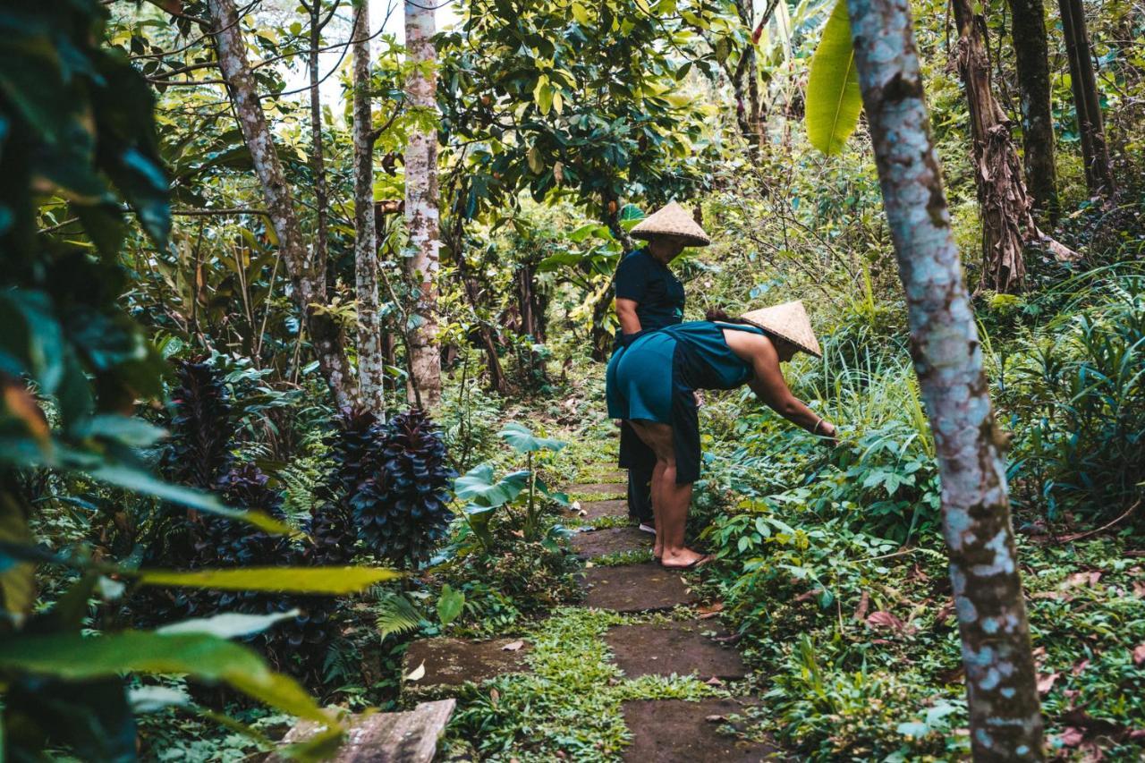 Bali Jungle Camping By Amerta Experience Selemadeg Extérieur photo