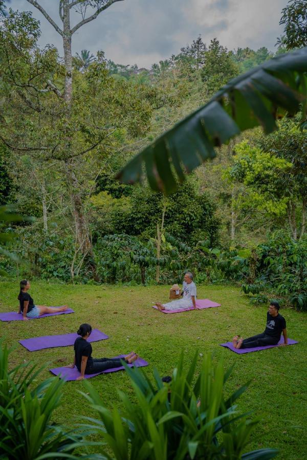 Bali Jungle Camping By Amerta Experience Selemadeg Extérieur photo