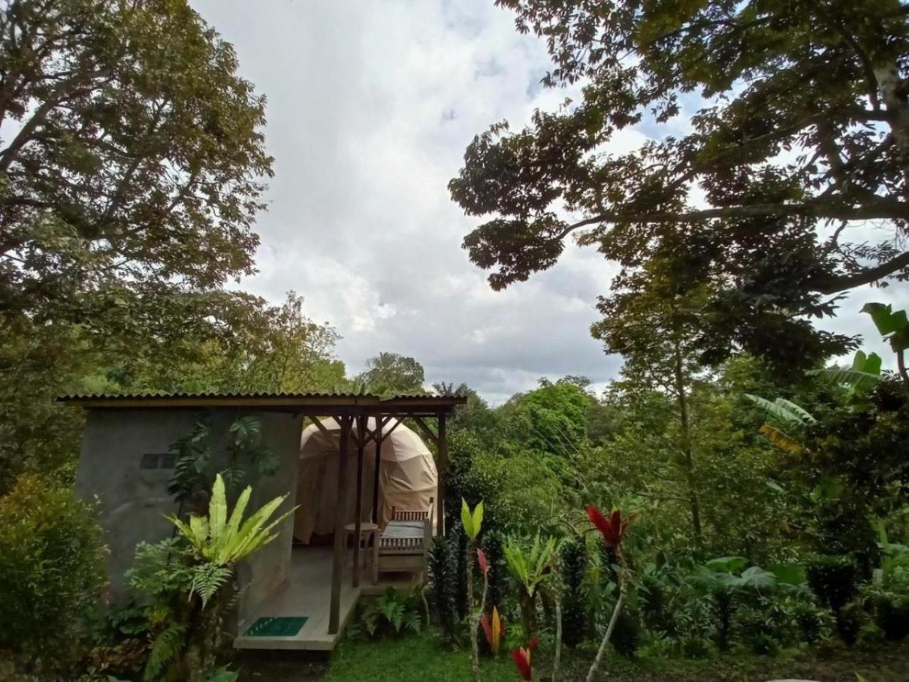 Bali Jungle Camping By Amerta Experience Selemadeg Extérieur photo