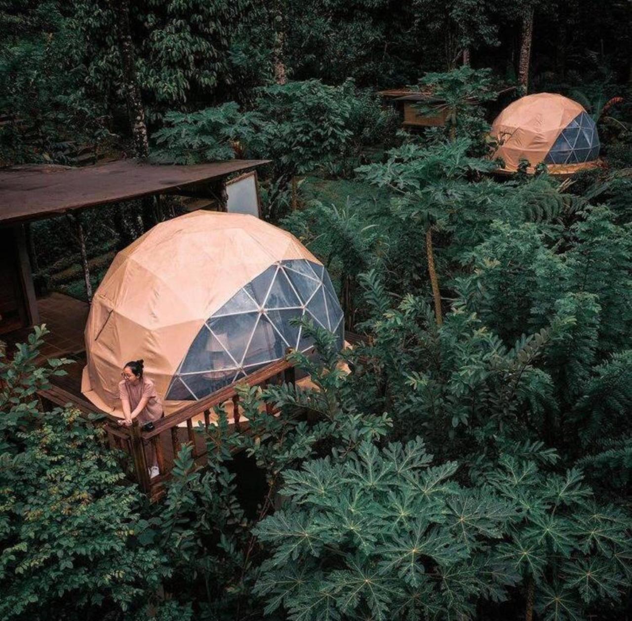 Bali Jungle Camping By Amerta Experience Selemadeg Extérieur photo